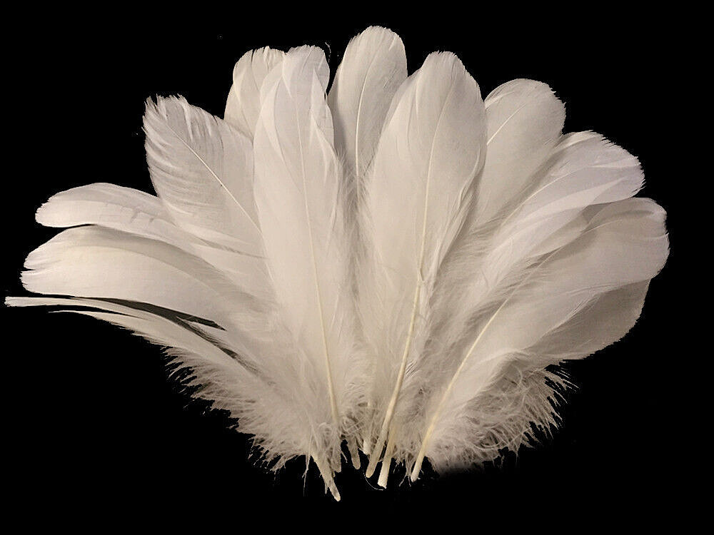 Ivory Goose Feathers 6-8″ 12 Pc Wedding Millinery Crafts Decoration