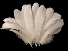 Ivory Goose Feathers 6-8″ 12 Pc Wedding Millinery Crafts Decoration