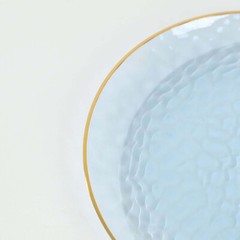 TRANSPARENT DUSTY BLUE 10 Glossy 10″ Round Plastic Salad PLATES GOLD Rim Party