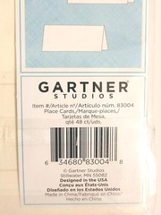 SET 2 Gartner Studios® Place Cards, Pearlized, 4″ x 3″, Ivory, SPECIAL OCCASION