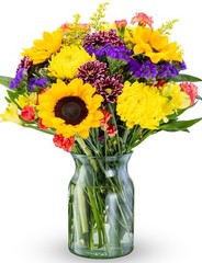Benchmark Bouquets Flowering Fields Sunflower Bouquet – Mothers Day Flowers for