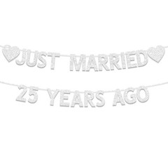 Plzaxou 25th Wedding Anniversary Party Banner Decorations, Silver