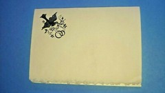 VINTAGE card Count 4.9″ x 7″open – 4.9″x 3.5 folded ivory – 50 SHEETS/ PACK