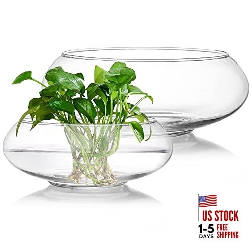 2 Pack Glass Vase Bowl, 6″/ 8″ Wide Mouth Flower Vase Round Terrarium, Glass