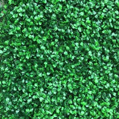 12 Pcs Artificial Boxwood Wall Hedge Mat Decor 40*60cm Panel Outdoor Grass Fence