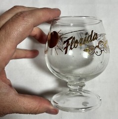 Vintage Stemmed Glass Goblet Centerpiece Clear Barware MCM Florida NICE