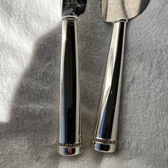 Reed & Barton Stainless Steel Cake Knife & Server Set Silver Glossy Finish