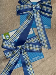 2 Pack Checkered Blue , White & Lime