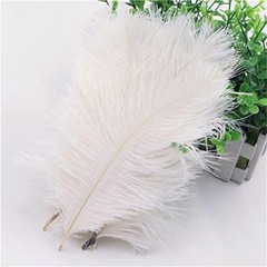 12 pcs 24-26″ long White Genuine Ostrich FEATHERS Wedding Party Centerpieces