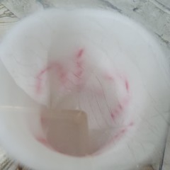 Flameless LED Candle White w Candy Canes and Holly Berries Winter Christmas
