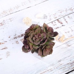 3 Green 5″ Assorted Faux Cute Succulent Echeveria Plants Off White Ceramic Pots
