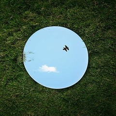 WGV Large Round Mirror Plate 16″ Diameter, 4 mm 16″L x 0.1″W Round 1 Piece