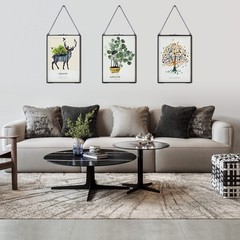 TLBTEK 8X12inch Picture Frames,Brass Hanging Double Glass Frame for Pressed F…