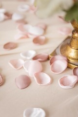 Ling’s moment Silk Rose Petals, Blush White Dusty Rose, 200pcs | Wedding Aisl…