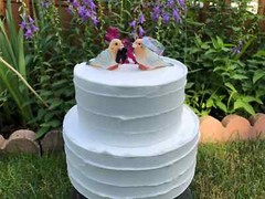 Mourning Dove Turtledove Love Birds Cake Topper Bride & Groom Wedding Engagement