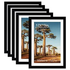 13×19 Picture Frame Set of 5, Black Poster Frame, Display Pictures 11 x 17 wi…