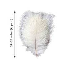 12 pcs 24-26″ long White Genuine Ostrich FEATHERS Wedding Party Centerpieces