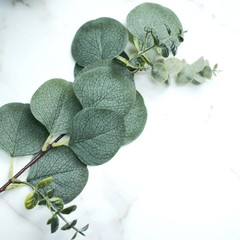 Green 14 Stems 12″ Artificial Eucalyptus Faux Leaves Sprays Party Decorations
