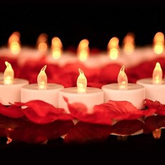 2000Pcs Artificial Rose Petals + 24 LED Candles Romantic Night Propose Set US