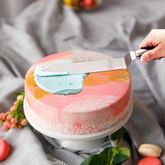 Stainless Steel Cake Customizing Decorating Serving 5pc set, Cake Server Lift…