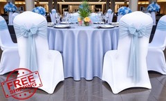 MDS 10 pcs Baby Blue Chiffon Chair Sashes
