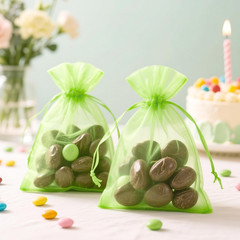 25PCS Drawsring Organza Bags 5×7 inches – Light Green Organza Gift Bag, Sheer Me