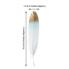 60 MINT GREEN WHITE with Metallic Gold Tip Natural Goose Feathers Decorations