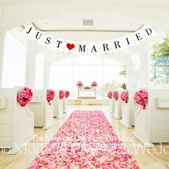JUST Married Wedding Banner Set, Decorations for Reception, Red