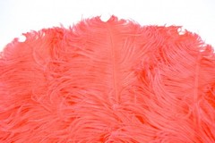 Coral/Peach Ostrich Feathers 12-14 inches 12 Pieces(GA, USA)
