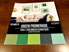 Colorbok 78lb Smooth Cardstock 12″X12″ 30/Pkg-Green Promenade, 5 Colors/6 Each
