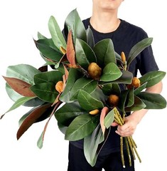 Set of 4 Magnolia Branches 32 Inch Long Artificial Magnolia with Leaves Green…