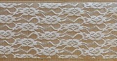 Ivory Floral Lace TULLE Fabric 6”x 10 Yd Roll Wedding Craft Decor Many Available