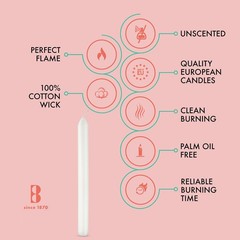 BOLSIUS 10 Count Household White Dinner Candles – 9 Inches – 10 Count,
