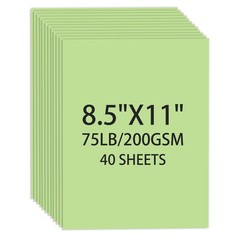 Cardstock 8.5 X 11, 40 Sheets Light Green Card Stock, 75lb/ 200gsm Pale Green…