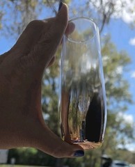 2 Rose Gold Metallic Glass Champagne Flutes Stemless