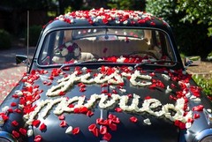 1000 Wedding Silk Rose Petals Heart Shaped Blue sky, Petals & Garlands, Rose Pet