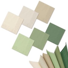 120 Sheet Sage Green Cocktail Napkin 2 Ply Color 5 x 5 In Nude Sage Green