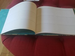 Most elegant guest book for all occasion. 36 pages. Gallison NY. 10.25″×8″.
