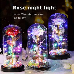LED Eternal Galaxy Rose in Glass Enchanted Forever Flower Thanksgiving Xmas Gift