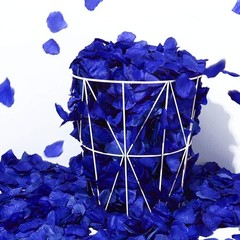 Lifelike Sapphire Blue Rose Petals – 1000 Pcs for Bridal Showers & Anniversaries