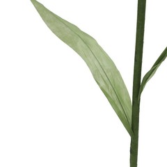 3 Pcs White Green Handmade Fake Corn Poppy Flower, Adjustable Stem Wedding Decor