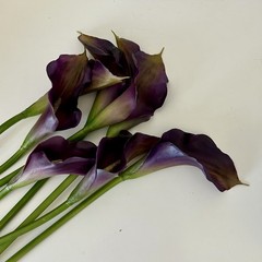 EUC REAL TOUCH PURPLE/GOLD CALLA LILY FLOWER – 8 STEMS 18” Tall