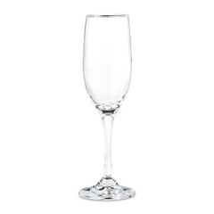 Champagne Flutes Set of 2 Elegant Wedding Toasting Glasses Party Drinkware Clear