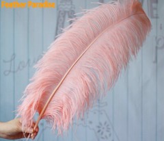 Peach Blush Pink 12 Pieces Ostrich Feather 12-14 inches Dozen Wedding Centerpiec