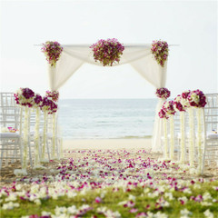 Metal Arbor Wedding Arch Garden Trellis Pergola Arbor for Climbing Plant Flower