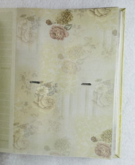 Pioneer Roses Photo Album Beige Mauve Ribbon 50 Pages 4×6 DA-200D