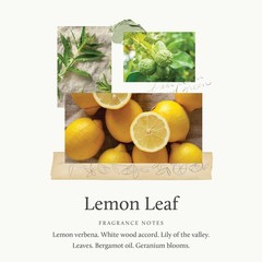 Thymes Lemon – 8 Oz – For A Fresh – In Glass Jar – Jar