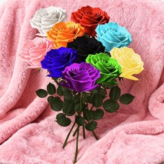 Leebean Single Forever Roses Luxury Gift for Women/Men, Birthday 1 Rose, Red
