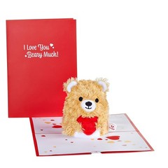 Lovepop Plushpop Soft Animal Pop-Up Card for Her and Him – 3D Bear Everyday G…