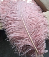 Dark Blush Pink 100 Pieces Ostrich Feathers 12-14 inches Wedding Centerpices